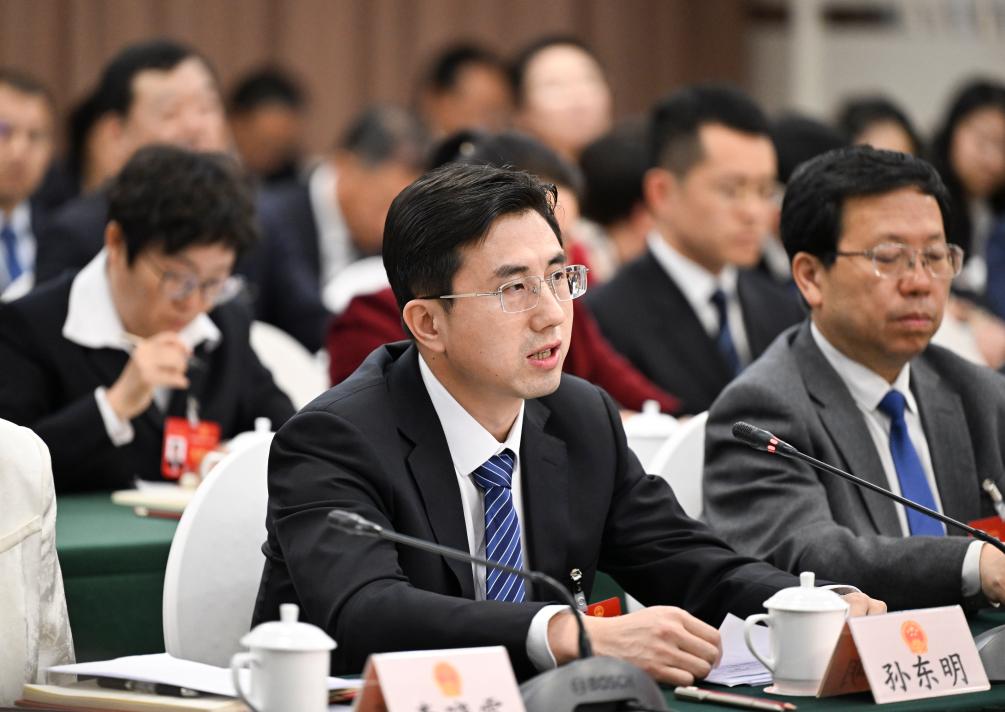 两会·影像链接丨他们从基层一线来到人民殿堂(图10)