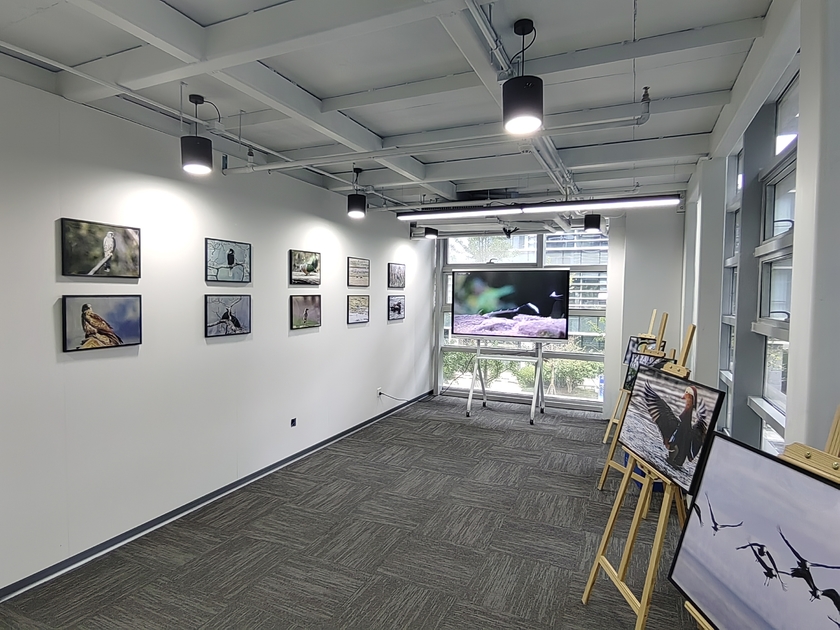 由展视网主办“超越梦想展梦高飞”摄影联展顺利开幕(图1)