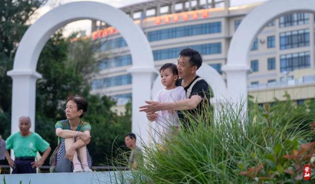 崇明夏夜纳凉好去处！要“趁热”去(图5)