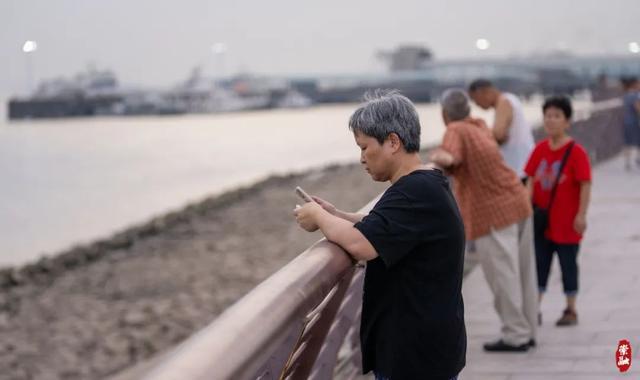 崇明夏夜纳凉好去处！要“趁热”去(图4)