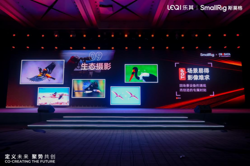 星空体育：定义赛道重构行业2024全球影像场景产业论坛在深圳召开(图7)