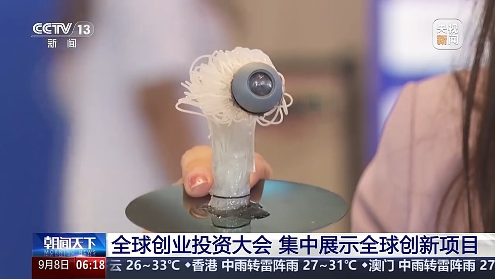 全球首个3D仿生眼成像有多逼真？来这个论坛一探究竟(图3)