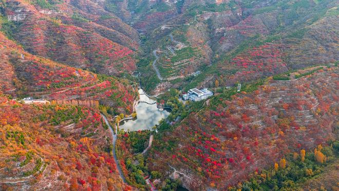 又是一年“秋”好处！登高寻秋、彩林漫山潭溪山是如何“红”起来的？(图2)