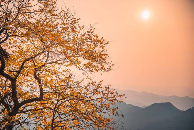 又是一年“秋”好处！登高寻秋、彩林漫山潭溪山是如何“红”起来的？(图4)