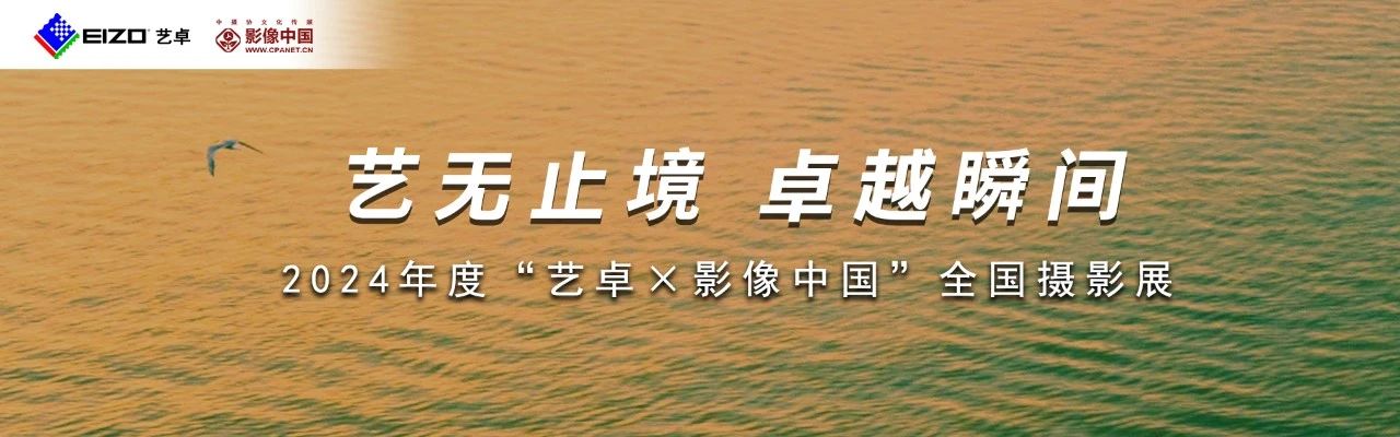 2024年度“艺卓×影像中国”全国摄影展(图1)