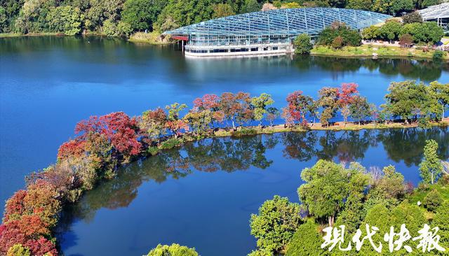 来前湖赏斑斓秋色南京月牙堤迎最佳观赏期(图5)