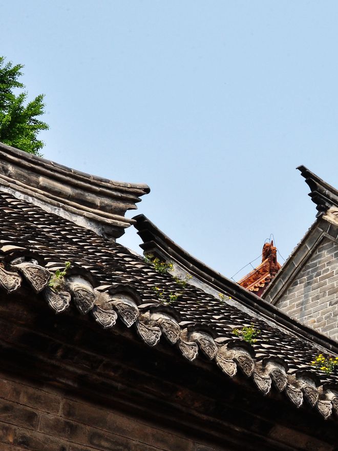 广东短拍摄制作团队(图8)