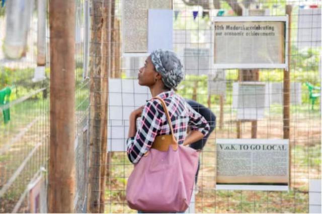 2024国际公共艺术获奖作品揭晓(图3)