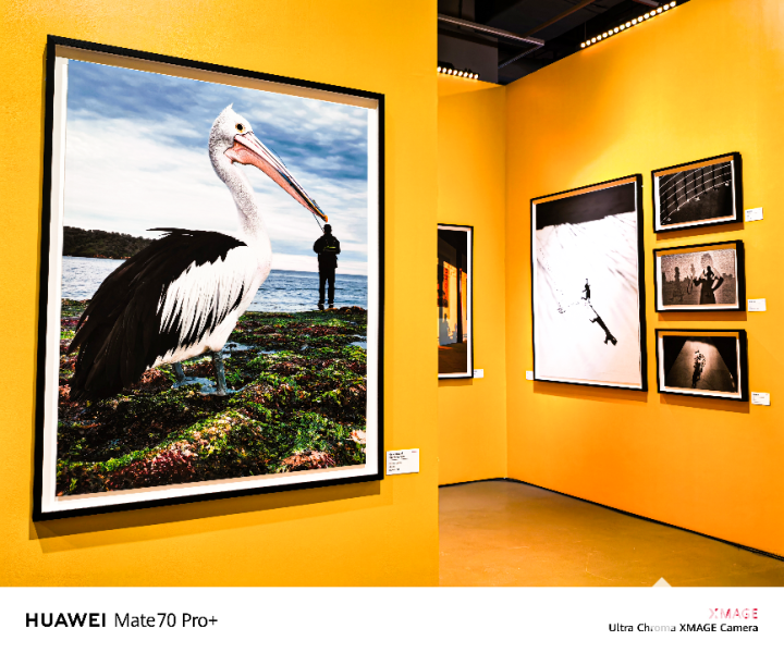 以科技定格温暖的世界2024华为影像大赛颁奖盛典圆满落幕(图2)