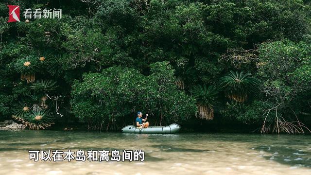 【冲绳】下地由纪子：中国之旅首选上海真心棒(图5)
