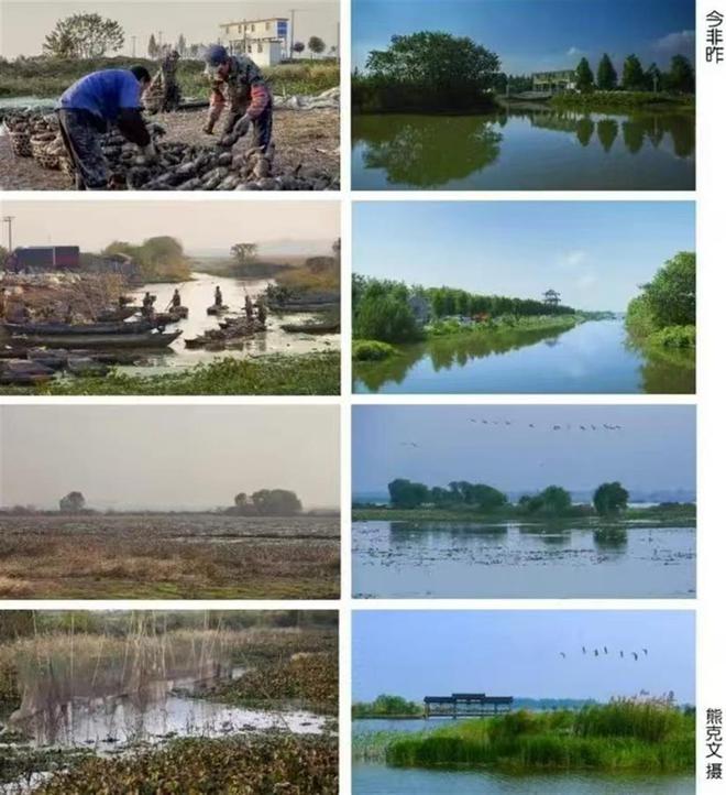 星空体育网站：“定格崇湖之美”2024湖北公安县崇湖国家湿地公园首届摄影展开展(图6)