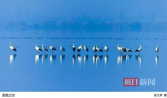 星空体育网站：“定格崇湖之美”2024湖北公安县崇湖国家湿地公园首届摄影展开展(图3)