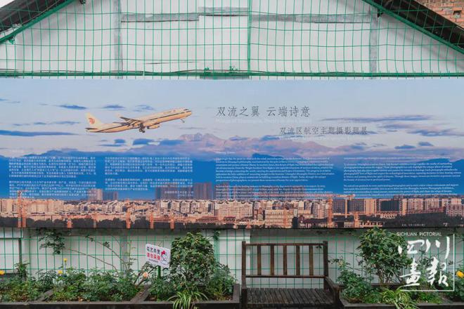“AI彭镇——乡村影像时刻”第三届彭镇摄影周开幕(图5)