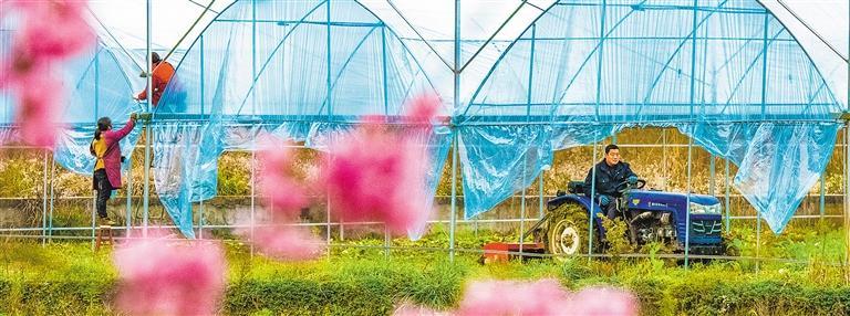星空体育网站：欢乐中国年——2024年旺旺杯“春节七天乐”全国新闻摄影征集入选作品（三）(图6)