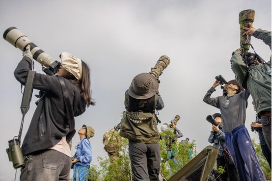 资深摄影记者为何迷上拍鸟？(图7)