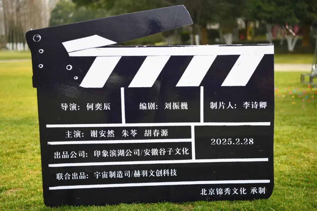 紫云山向“新”而行拔节生长！(图10)