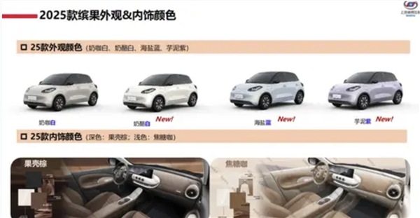 比亚迪海鸥最强对手！2025款五菱缤果配置公布：增加侧气囊+360度全景影像(图2)