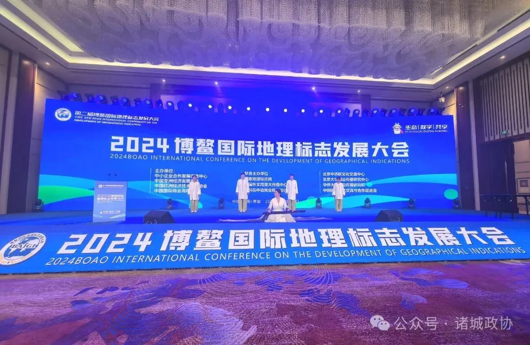 委员风采II雷蕾：跨界履新国家级平台使命担当赋能新领域(图2)