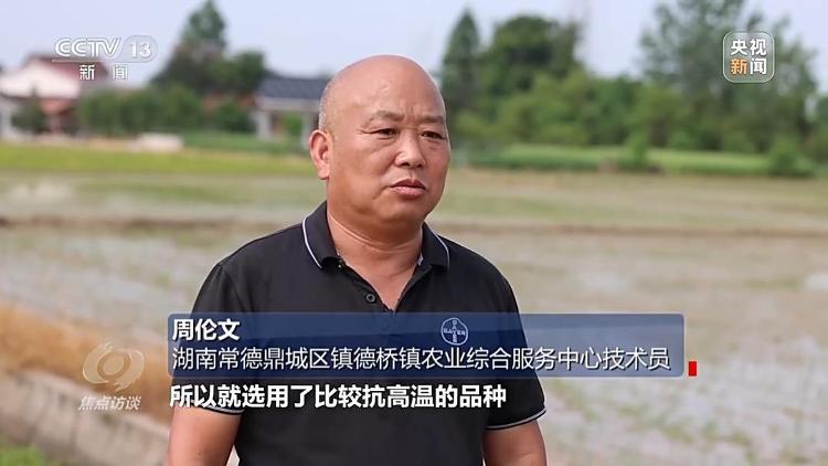 星空体育：良田+良种+良机法来看山东保丰收秘籍(图3)