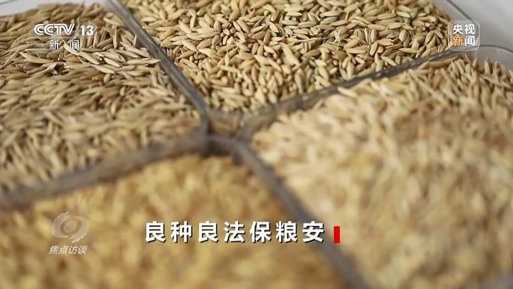 星空体育：良田+良种+良机法来看山东保丰收秘籍(图5)