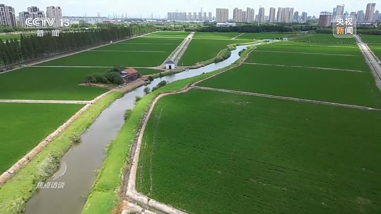 星空体育：良田+良种+良机法来看山东保丰收秘籍(图8)
