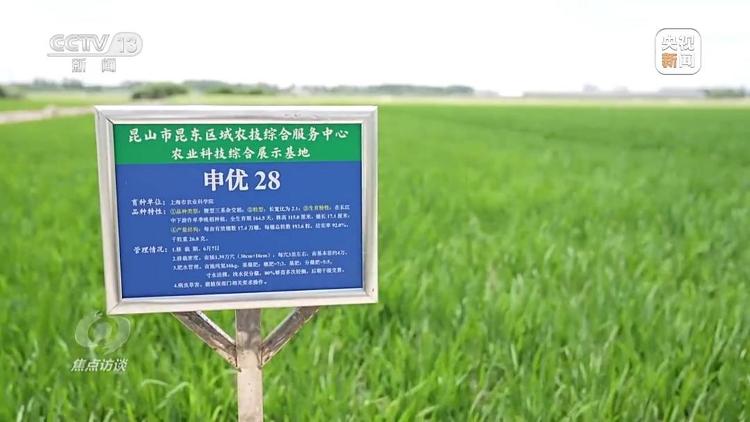星空体育：良田+良种+良机法来看山东保丰收秘籍(图9)