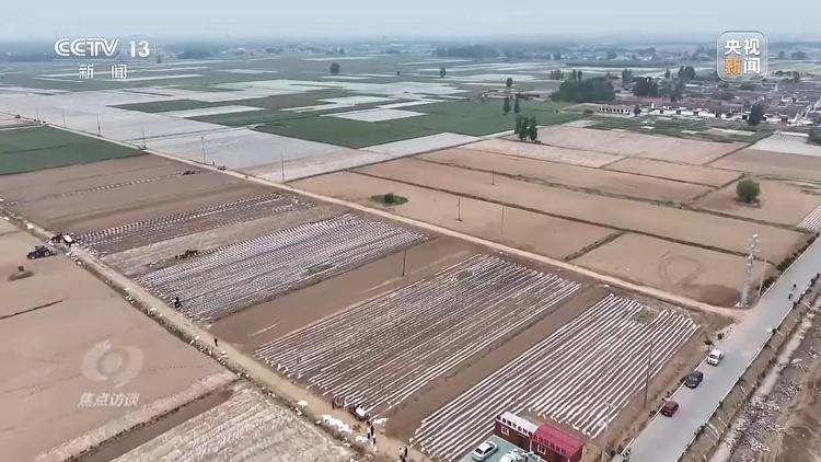 星空体育：良田+良种+良机法来看山东保丰收秘籍(图18)