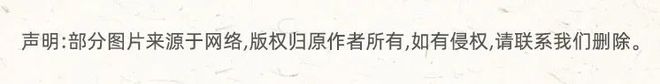北美短剧TOP1：操刀者竟是渭南乡党(图8)