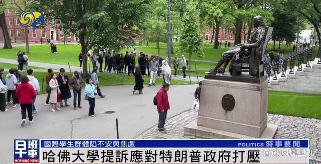 哈佛留学生陷入恐慌：刀落到自己身上才知道疼(图4)