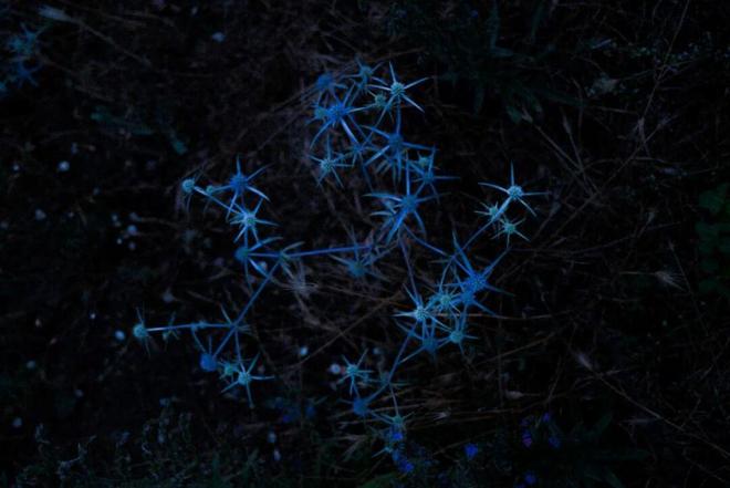 星空体育网站：对白-中国（上海）当代摄影艺术展在白俄罗斯首都明斯克举行(图19)