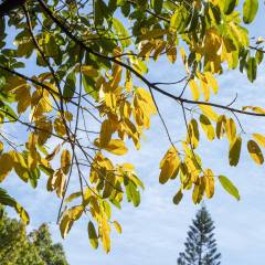 星空体育网站：2024传媒艺术摄影专业学什么(图5)