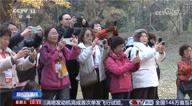 从地方实践到国家级媒体关注——兴趣岛的兴趣学习模式究竟触动了哪些政策与社会痛点?(图3)
