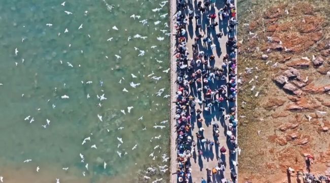 竖屏里的青岛:崛起的北方微短剧高地瞄准海内外的“爆款制造”(图8)