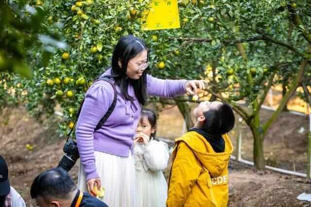 崇德之城柑王正甜:“媒体+”卖全球千年贡柑拓新路(图7)