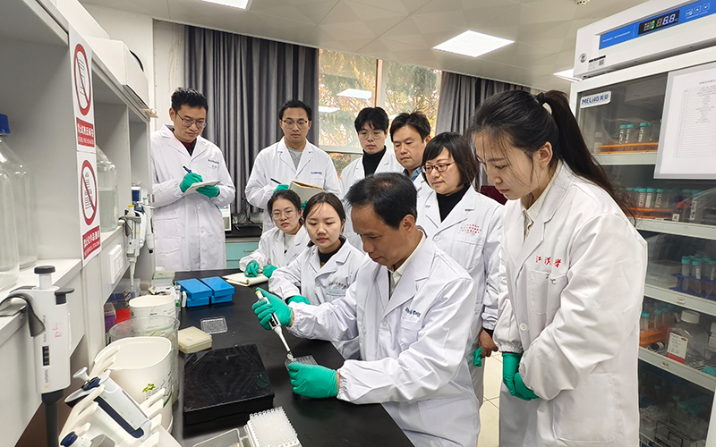 探尋解密情感認知鑰匙構建腦科學研究新賽道(图2)