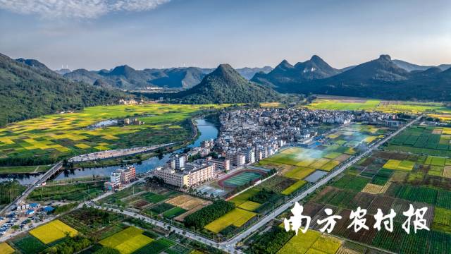 从“五大百亿”到千亿新蓝图!广东清远的“媒体+”现代农业方法论(图2)