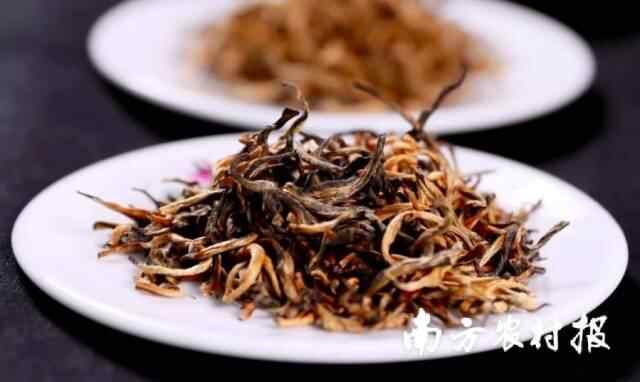 从“五大百亿”到千亿新蓝图!广东清远的“媒体+”现代农业方法论(图5)