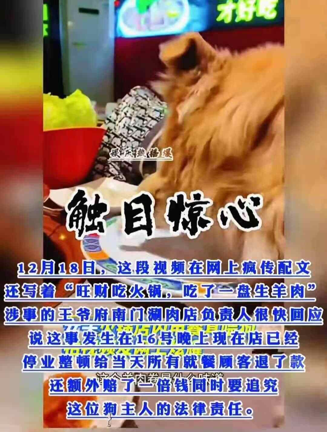 宠物舔食生肉卷引众怒!相关餐厅已停业消杀公共餐饮失德行为或触及法律红线鱼眼·观察(图2)