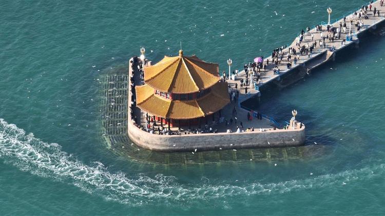 星空体育网站:一词看青岛文旅篇:一城山海四季可期——青岛用五年讲述“全季全域”(图2)