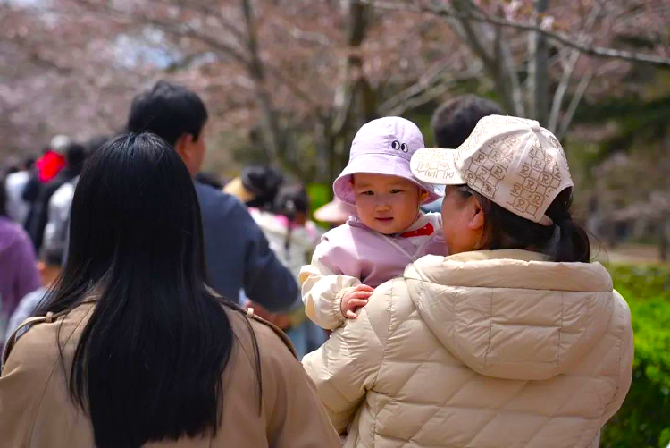 星空体育网站:一词看青岛文旅篇:一城山海四季可期——青岛用五年讲述“全季全域”(图5)