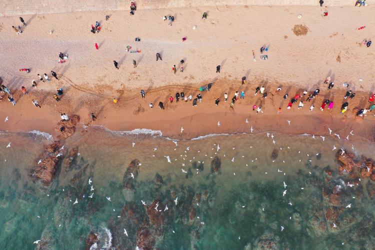 星空体育网站:一词看青岛文旅篇:一城山海四季可期——青岛用五年讲述“全季全域”(图6)