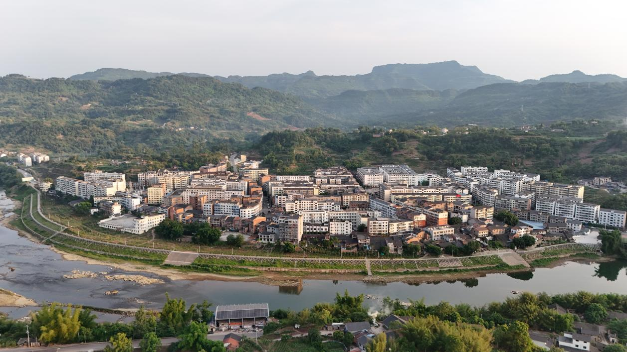 星空体育:绝对零度|中华秋沙鸭缘何连续13年打卡“西湖”(图5)