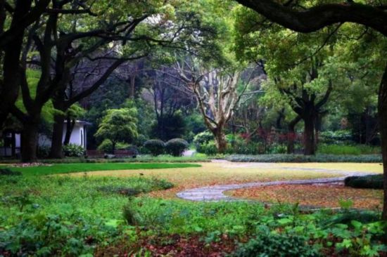 50个优质点位！上海市公布第一批“社区景点”(图30)