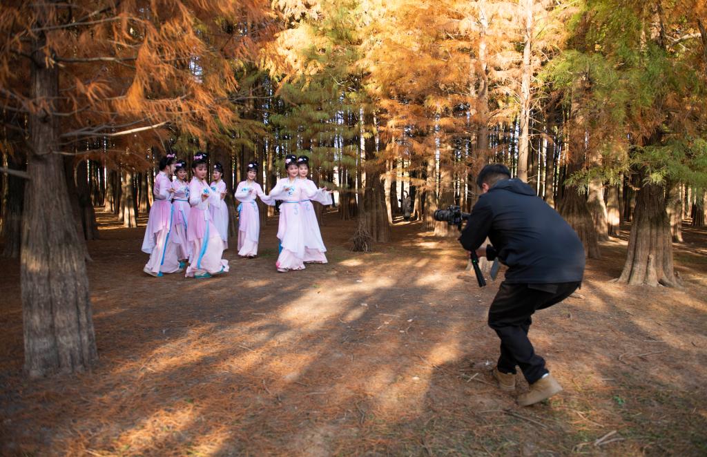 两会·影像链接丨展望“十五五”：互联网“织”梦新大众文艺舞新篇(图6)