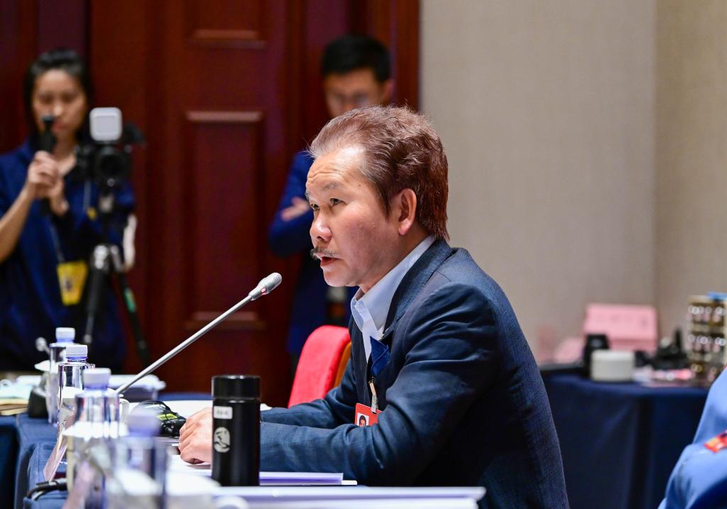 两会·影像链接丨展望“十五五”：互联网“织”梦新大众文艺舞新篇(图16)