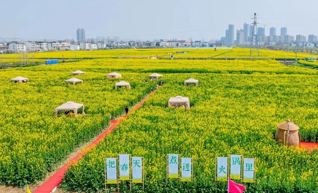 这些爆火的「春日经济」可不只是新“花”样丨南财号热话(图4)