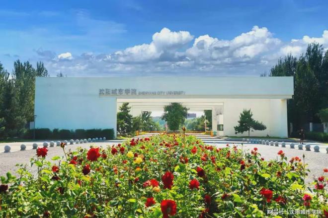 沈阳城市学院荣登2026辽宁省大学一流专业（应用型）榜首！(图3)