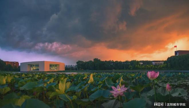 沈阳城市学院荣登2026辽宁省大学一流专业（应用型）榜首！(图4)